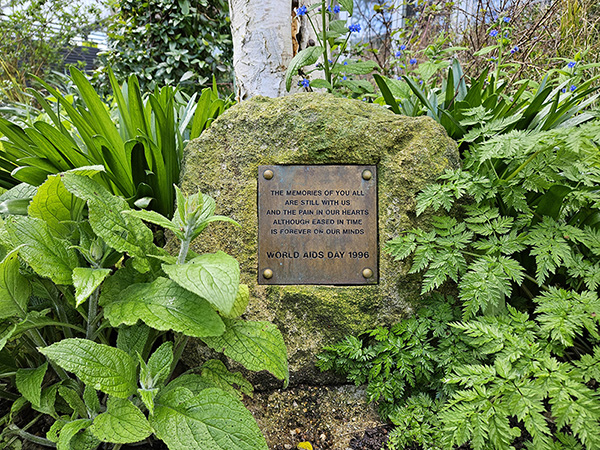 Stone beneath a tree, with a square metal plaque embedded in it