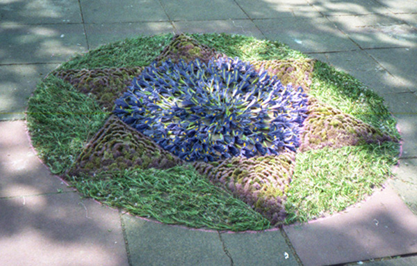 Cut flowers arranged on the pavement